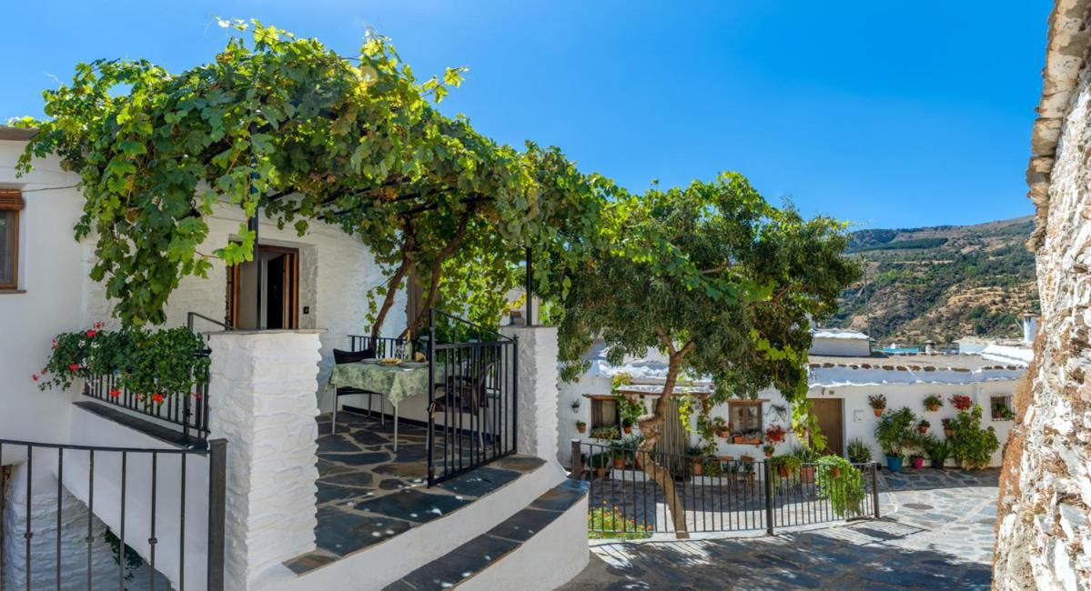 Casa Antonia Capileira La Alpujarra Apartment Exterior photo